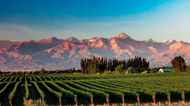 Mendoza * Vacaciones de Invierno *