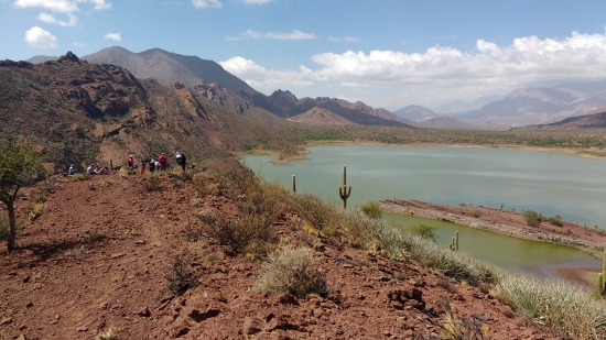 El viaje perfecto: sustentable y Solidario