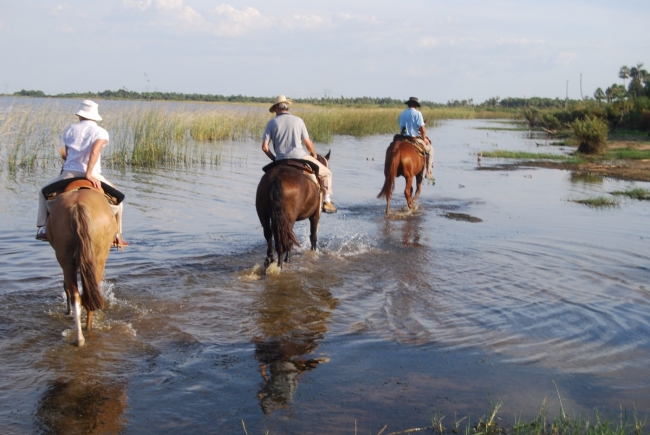 Esteros del Ibera,  Experiencia Aguape Lodge