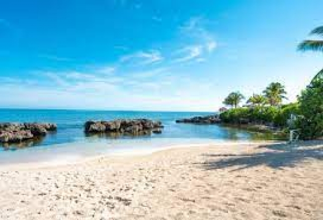 Jamaica & Panam, Caribe