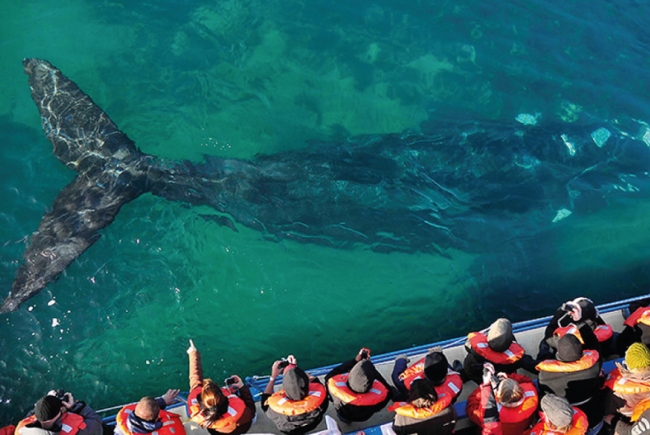 Puerto Madryn, Chubut, Argentina