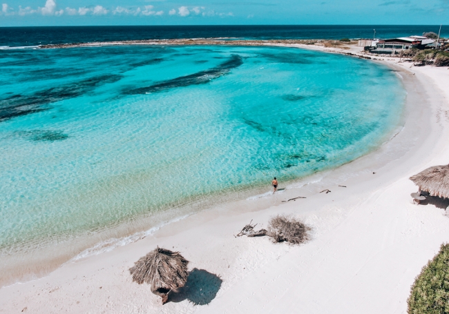 Aruba, Caribe 🏖️ 🦩🩱🩴🩳🍹