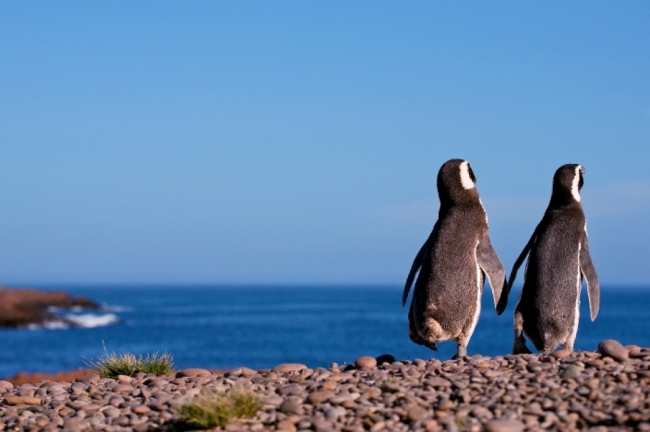 Puerto Madryn, Chubut, Argentina  Septiembre 