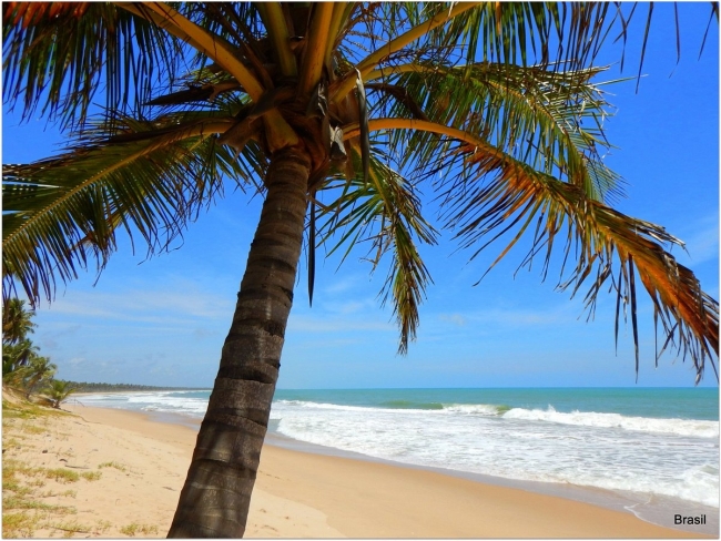 Imbassai Brasil🏖️en cuotas ☀️VERANO26☀️