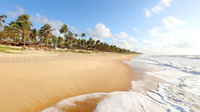 Costa do Sau�pe🏖️, Brasil 
