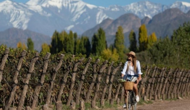 Mendoza, Bodegas & Olivares 🍷🍇🫒, Argentina 