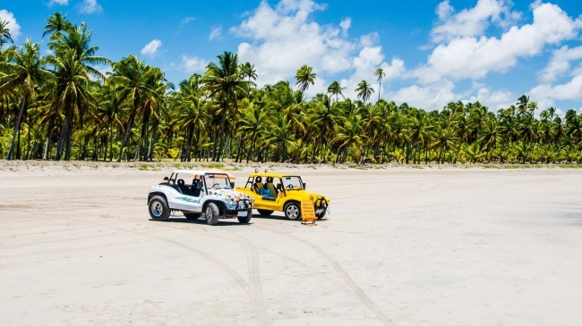 Maragogi, noreste, Brasil ☀️en cuotas☀️ TY 🏖️ 🥥🌴🌺🌅🌊