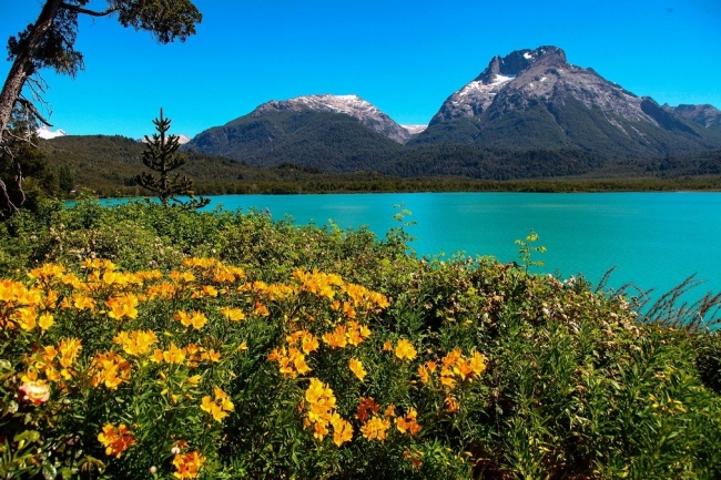 Bariloche Clasico, Rio Negro, Argentina🌻🌿🌄🚵‍♂️🌷🫶🏻