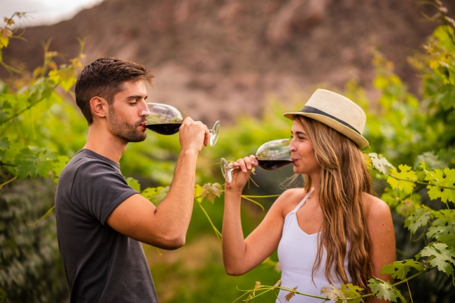 Salta & la ruta del vino de altura, Norte Argentino ⛰️🍷🍇🥟🧉