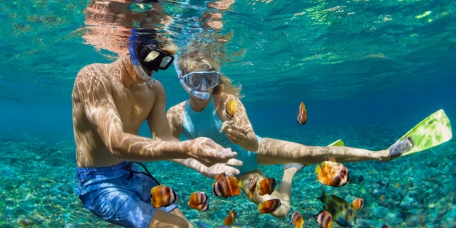  Los Cabos, Baja California  Mexico ✨🌅🧡