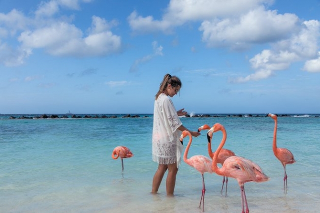 🦩Aruba, Caribe🦩en cuotas☀️Verano26☀️