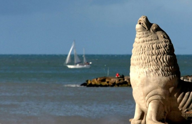Mar del Plata,🦭  Feriado de Noviembre,  en BUS 🚌