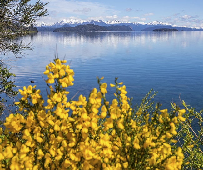 Bariloche Clasico, Rio Negro, Argentina🌻🌿🌄🚵‍♂️🌷🫶🏻