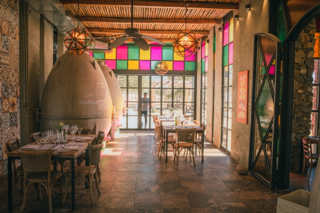 Mendoza SUNSET ✨🌅, Argentina 