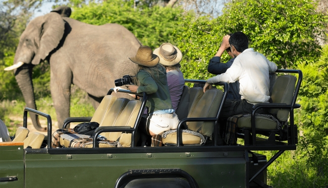 Lo Mejor de SUDAFRICA  🌍🐘🐒🐅🦓🦍🪘🛖🌄 Salida Grupal 2026