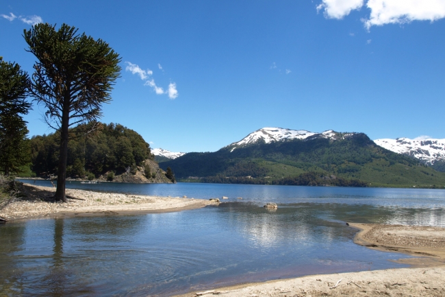 Villa Pehuenia, Neuquen, en Bus  🚌📸 🌟VERANO26🌟