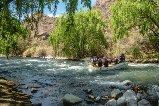 San Rafael, Mendoza, en Bus  🚌📸🌟