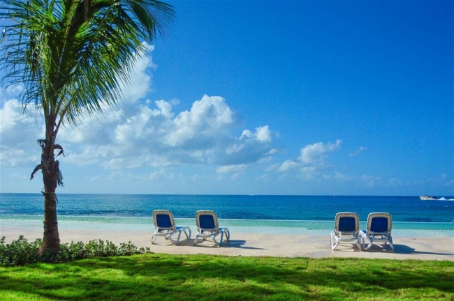 🌊🏖️Bayahibe, Rep. Dominicana,🏖️ ☀️ Exp Viva Dominicus Beach by Wyndham 4★✨🎉