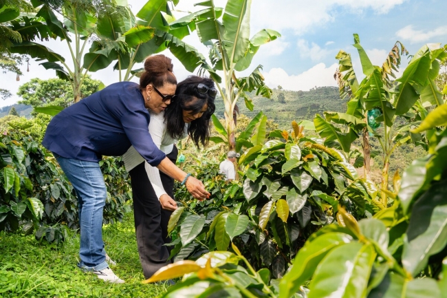 Sabor Colombiano  Salida⛰️🌳☕🌐Salida Grupal ✨🗺️