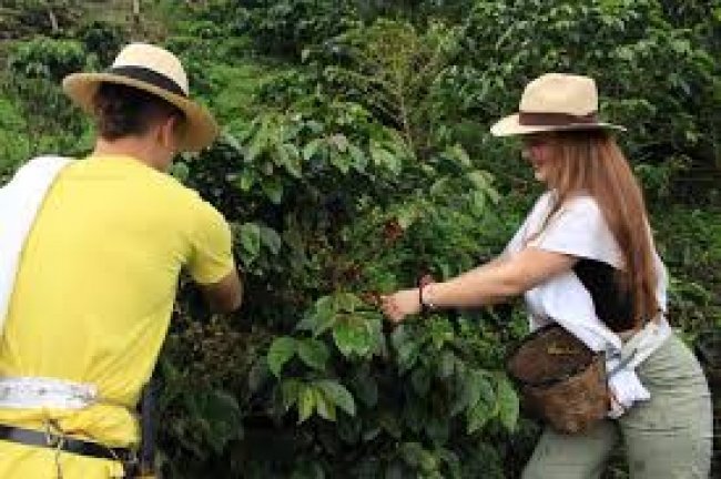 Sabor Colombiano  Salida⛰️🌳☕🌐Salida Grupal ✨🗺️