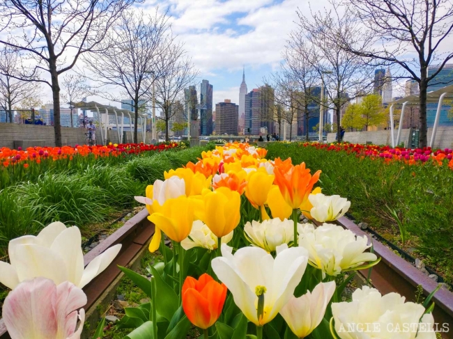 Nueva York, EE.UU. 🗽💫💖