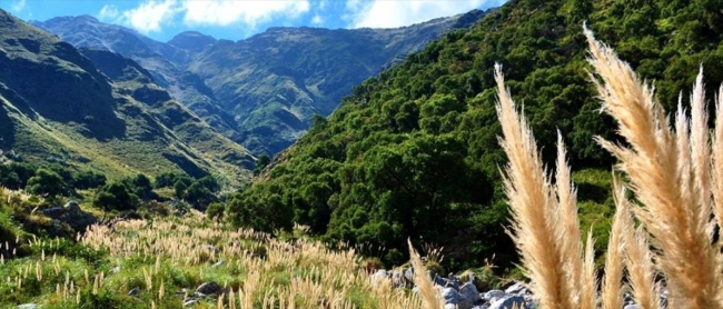 Merlo, Sierras Y Sol,  Argentina en Bus  🚌📸🌟
