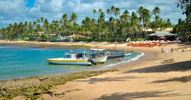  Praia do Forte, Brasil  ⛱️🐠🩴