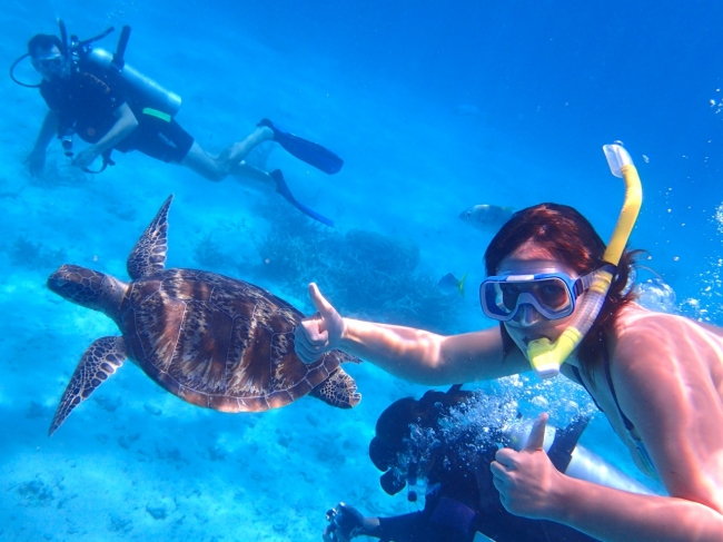 AUSTRALIA - CIUDADES Y GRAN BARRERA DE CORAL