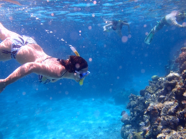 AUSTRALIA - CIUDADES Y GRAN BARRERA DE CORAL