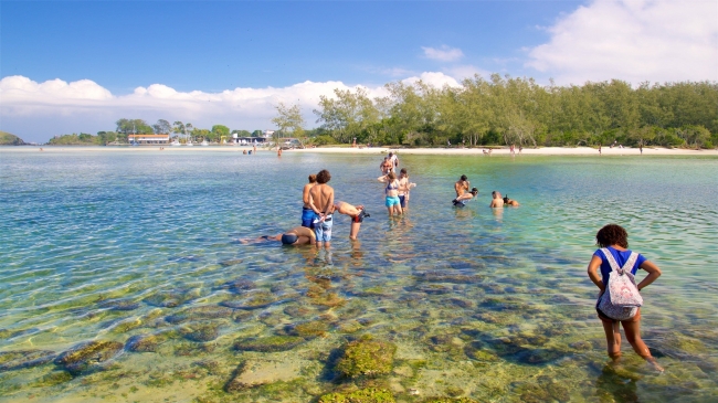 CABO FRIO,🦜 ⛱️🐠 🎶Brasil  ✨