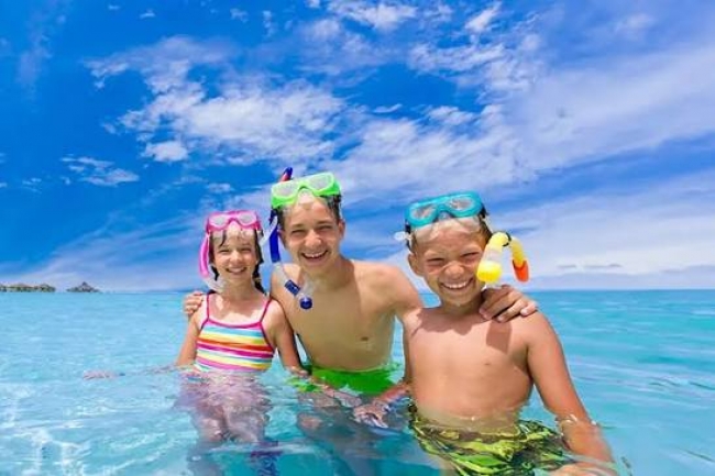 Cancun, Mexico🏖️ 🦩Verano 2027☀️ 🏝️🌊