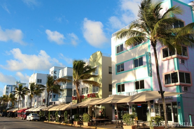 Miami & Bahamas ✨✈️ en cuotas🏖️Verano2027🛒🛍️🏷️