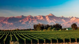 Mendoza * Vacaciones de Invierno *
