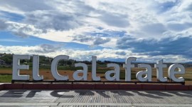 Calafate & Glaciar Perito Moreno, Santa Cruz, Argentina 🧊🫐🧊🫐🧊