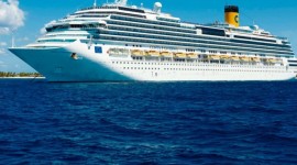 CRUCERO✨Solo o Con Amigos✨ 🎊Carnaval Brasileo🎊🦜🎶