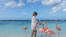 🦩Aruba, Caribe🦩en cuotas☀️Verano26☀️