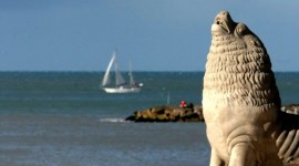 CARNAVAL ✨🎭🎉   Mar del Plata✨, Argentina en BUS 🚌