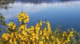 Bariloche Clasico, Rio Negro, Argentina🌻🌿🌄🚵‍♂️🌷🫶🏻