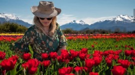 Campo de tulipanes en Trevelin  Rio Negro, Argentina🌄🚵‍♂️🌷🌷🌷🫶🏻-