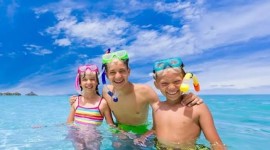 Cancun, Mexico🏖️ 🦩Verano 2027☀️ 🏝️🌊